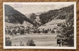 Walde SG, 1929, n. USA z. Anna Federer