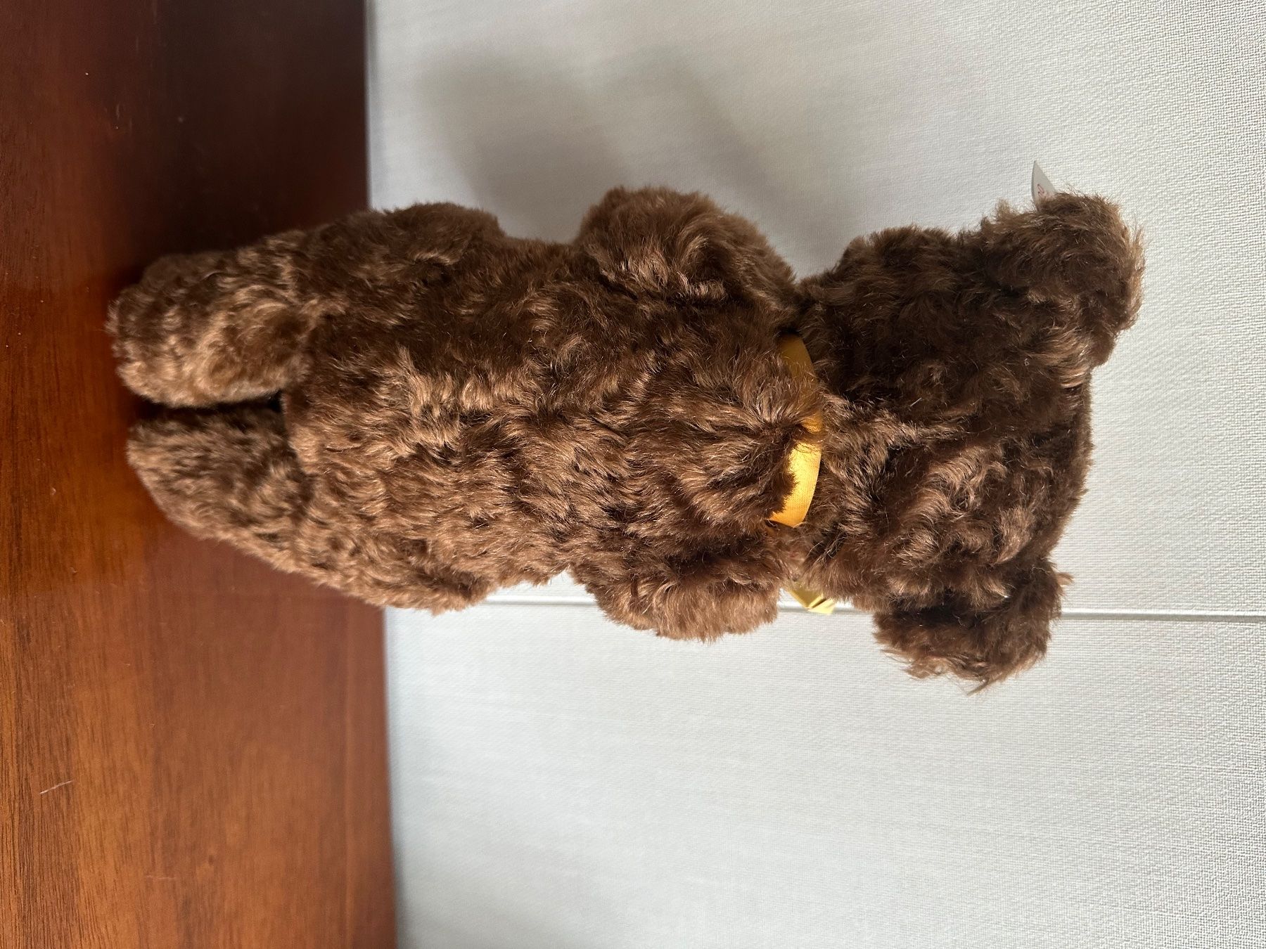 Steiff Giocattoli: Schoggi Bär von Steiff – Nuovo e nell'imballaggio originale da Mumpf venduto da A_B_E 2
