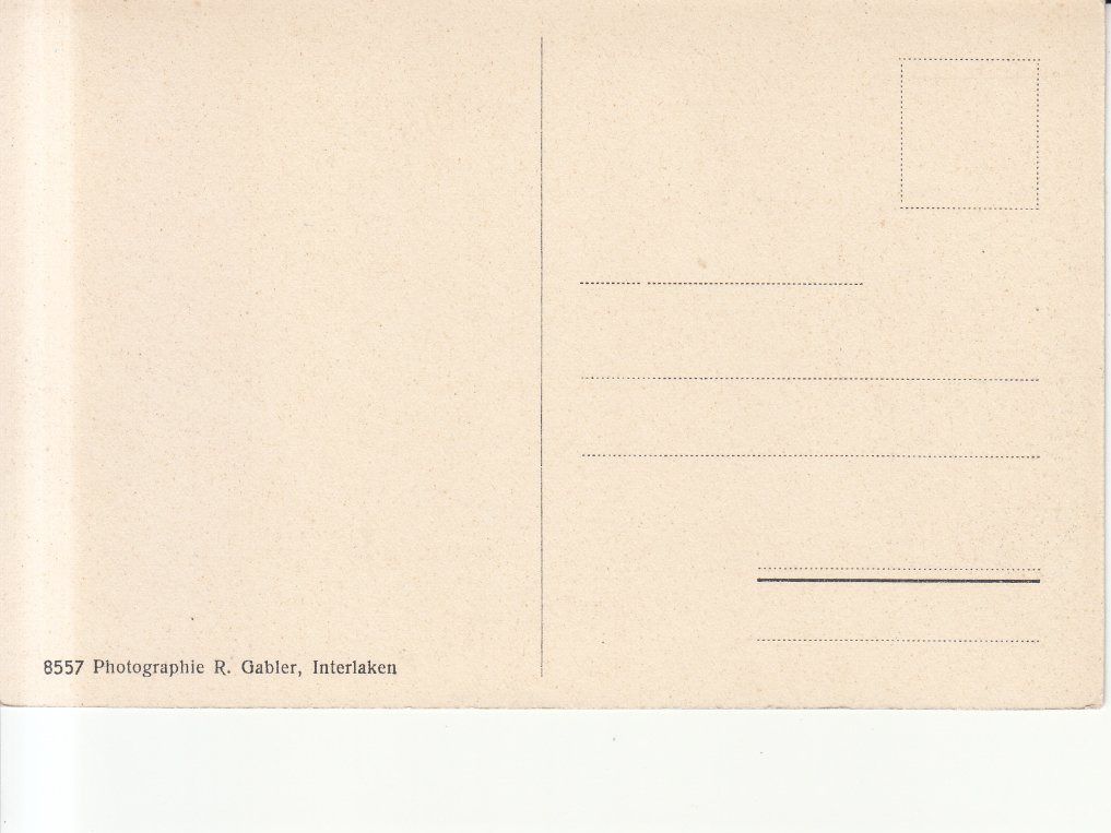 Cartoline postali: Wengen ca. 1920 – Usato da Bürglen TG venduto da StampGraf 1