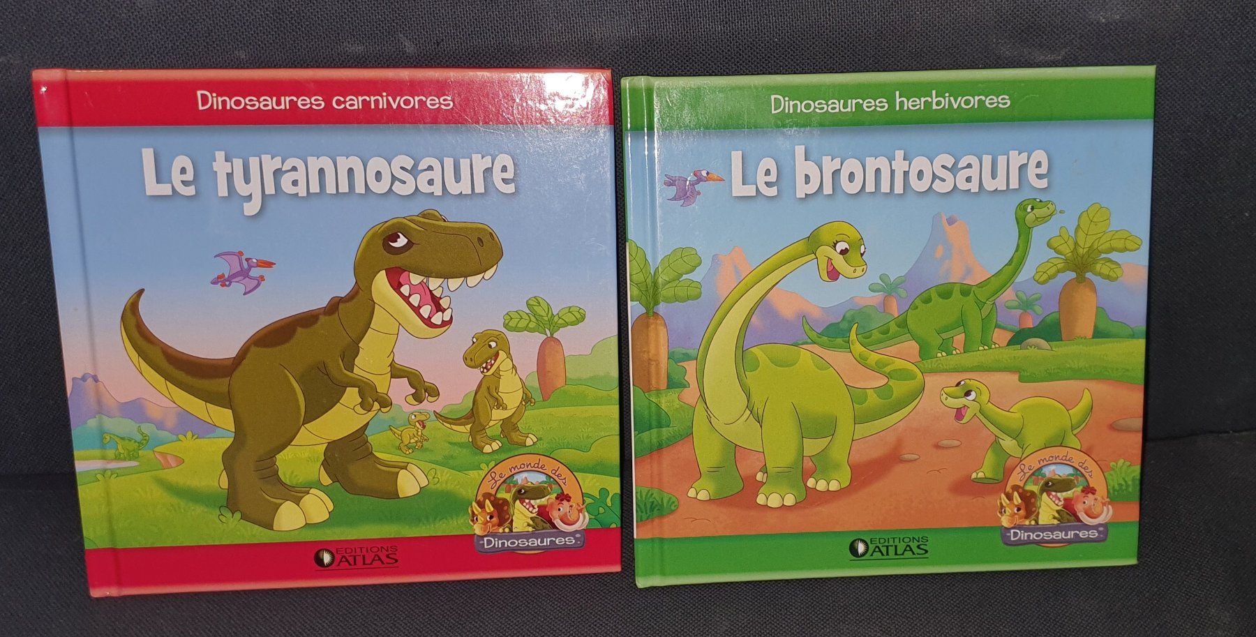 Libri: Lot 2 Livres Dinosaures – Usato da Murten venduto da ClearingOutMyAttic