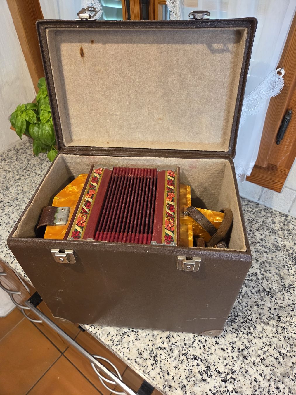 Instruments de musique: Schwyzerörgeli – D'occasion à Dietwil par mb54 5