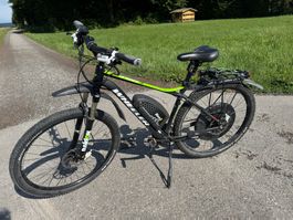 Wheeler eFalcon eBike mit BionX wie neu
