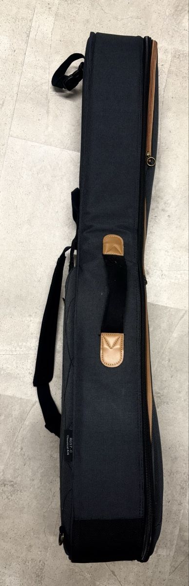 Musikinstrumente: Gitarrentasche Ritter – Gebraucht aus Dübendorf von and_s6fr 2