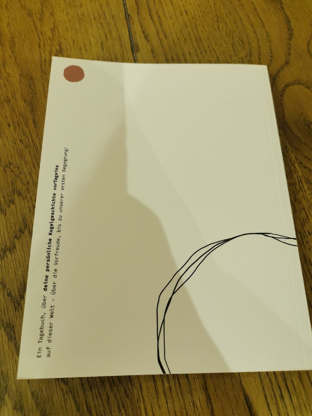 Libri: Schwangerschafts-Tagebuch Kugelgeschichte – Nuovo e nell'imballaggio originale da Saas Grund venduto da blubb07 2