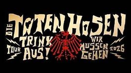 Die Toten Hosen Zürich Letzigrund