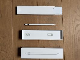 Apple Pencil 1. Generation