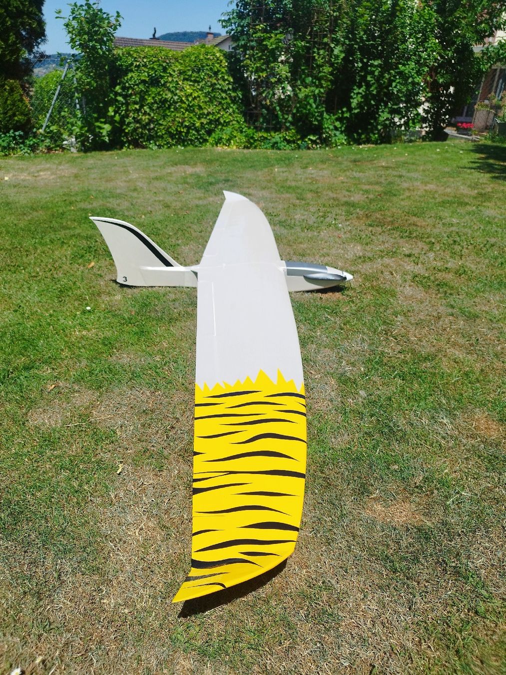 RC Kits de montage: Tigerhai – D'occasion à Menziken par Sintro 2