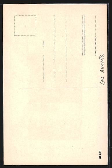 Cartoline postali: AK Les Avants, Narzissenfeld im Ort – Usato da Berlin venduto da bartko-reher 1