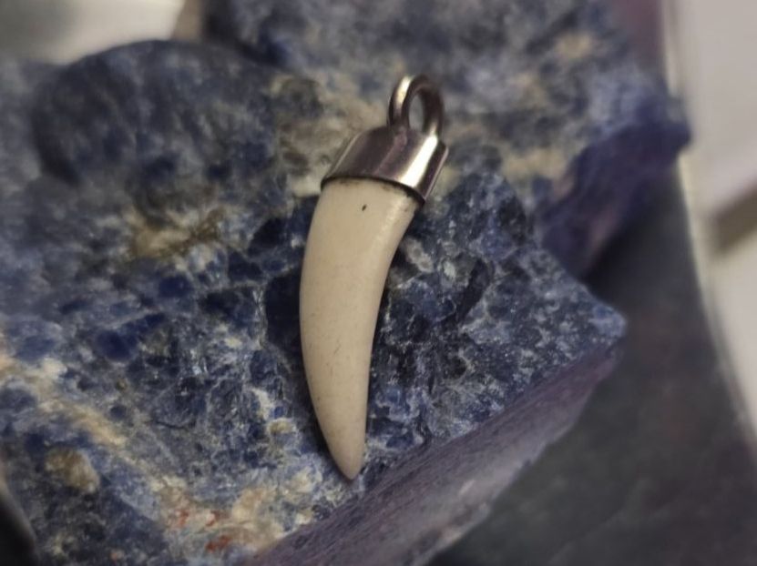 Anhänger: Anhänger Silber 925/Knochen in Zahnform – Neu (gemäss Beschreibung) aus Fislisbach von Eye-Arts