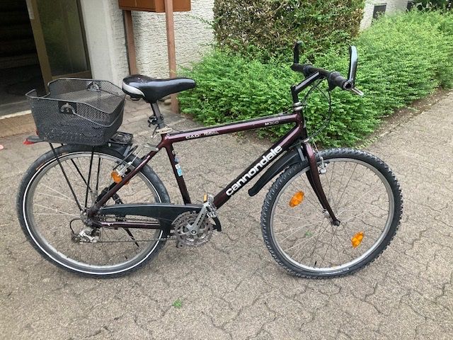 Cannondale Biciclette: Mountainbike Cannondale – Usato da Hirzel venduto da Sacha
