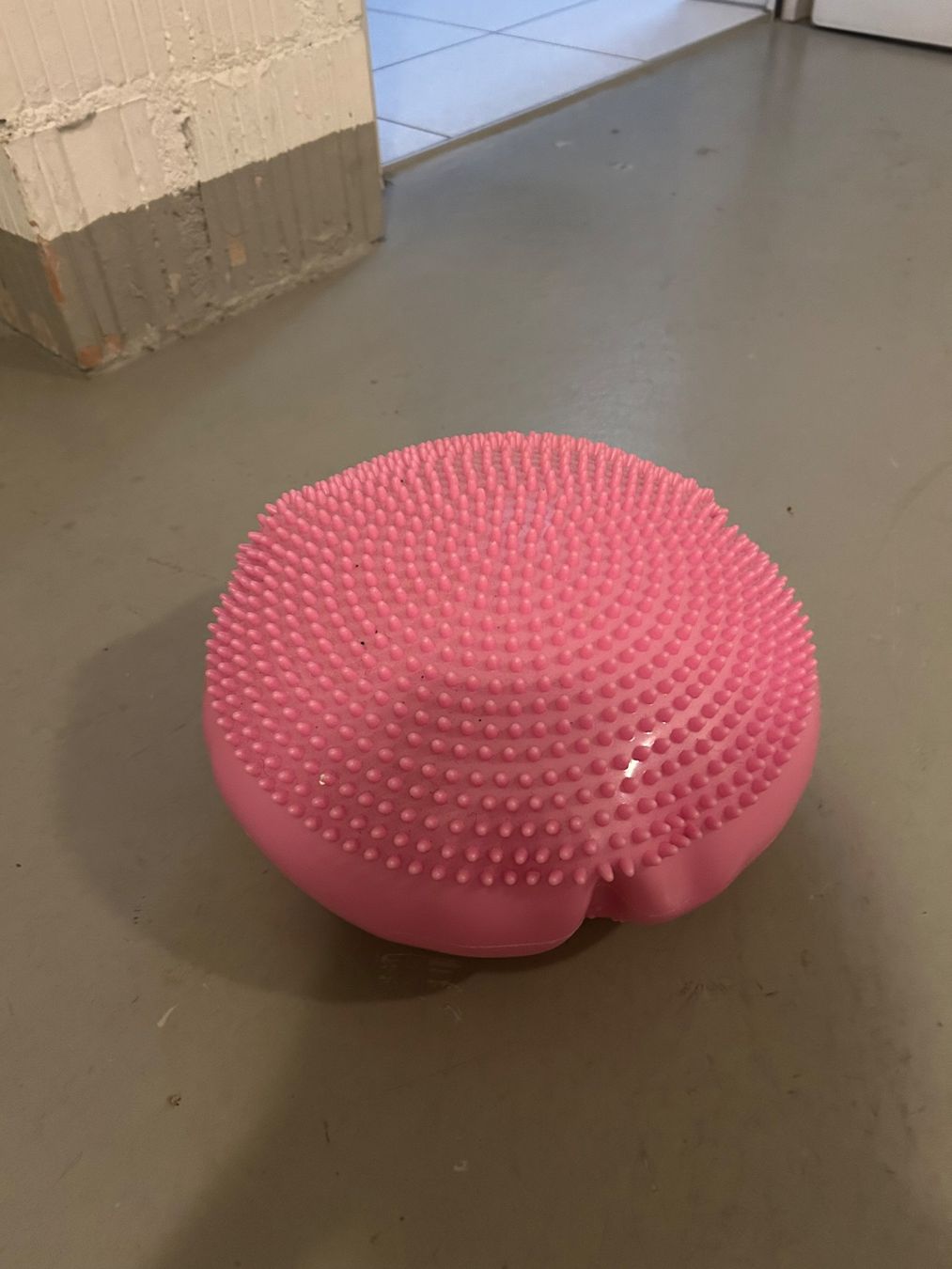Hometrainer: Balance Kissen/Trainer Igel Physio – Usato da Wabern venduto da belka72 1