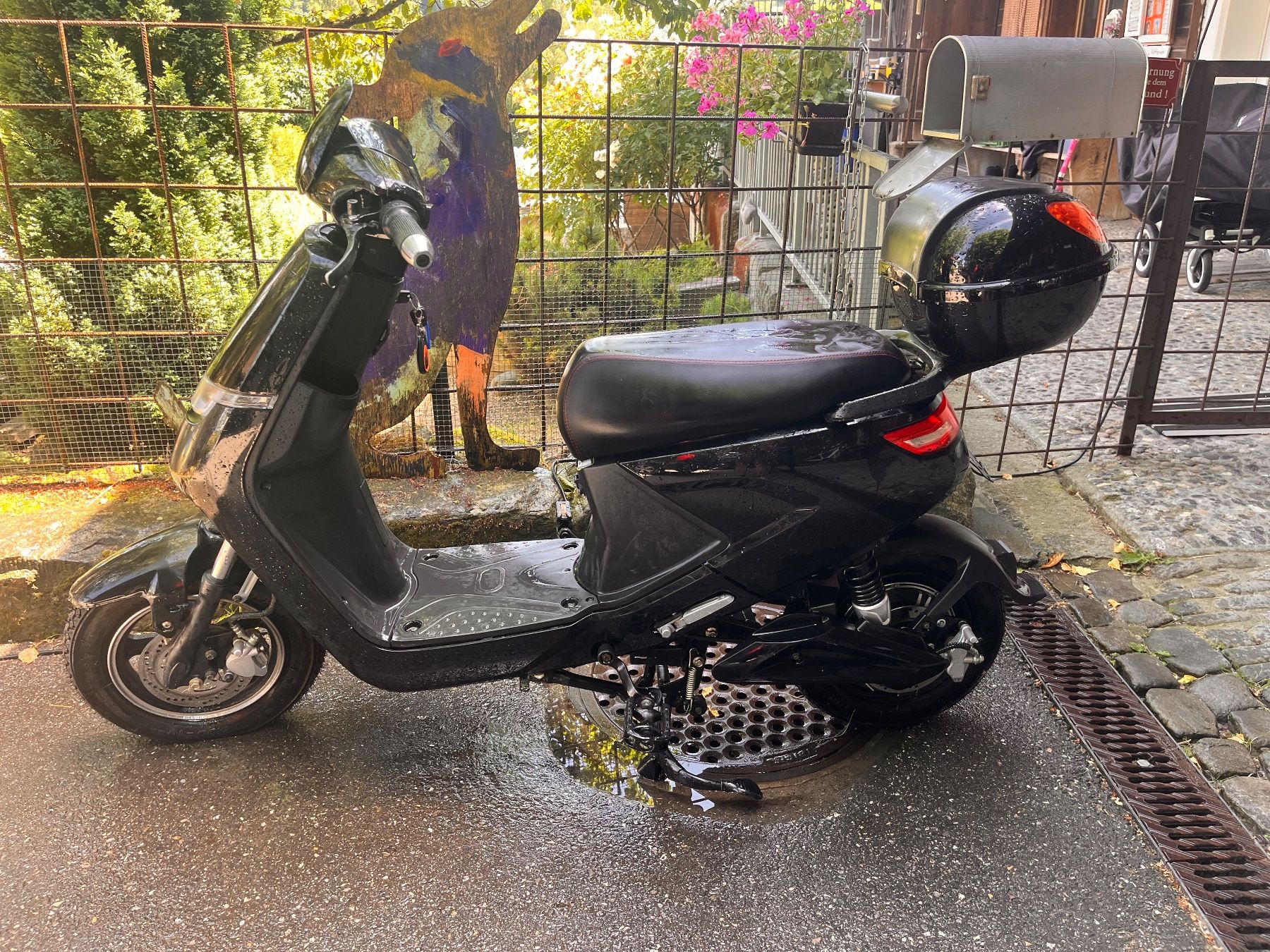 Scooters: Elektroroller schwarz – Gebraucht aus Busswil BE von sil_tk8m