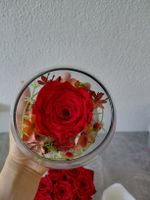 Set konservierter Rosen, rote Blüten in Glas