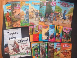 Lot de 21 bandes dessinées et livres sur les chevaux,