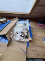 Coffret LEGO, emballage ouvert, pièces scellées