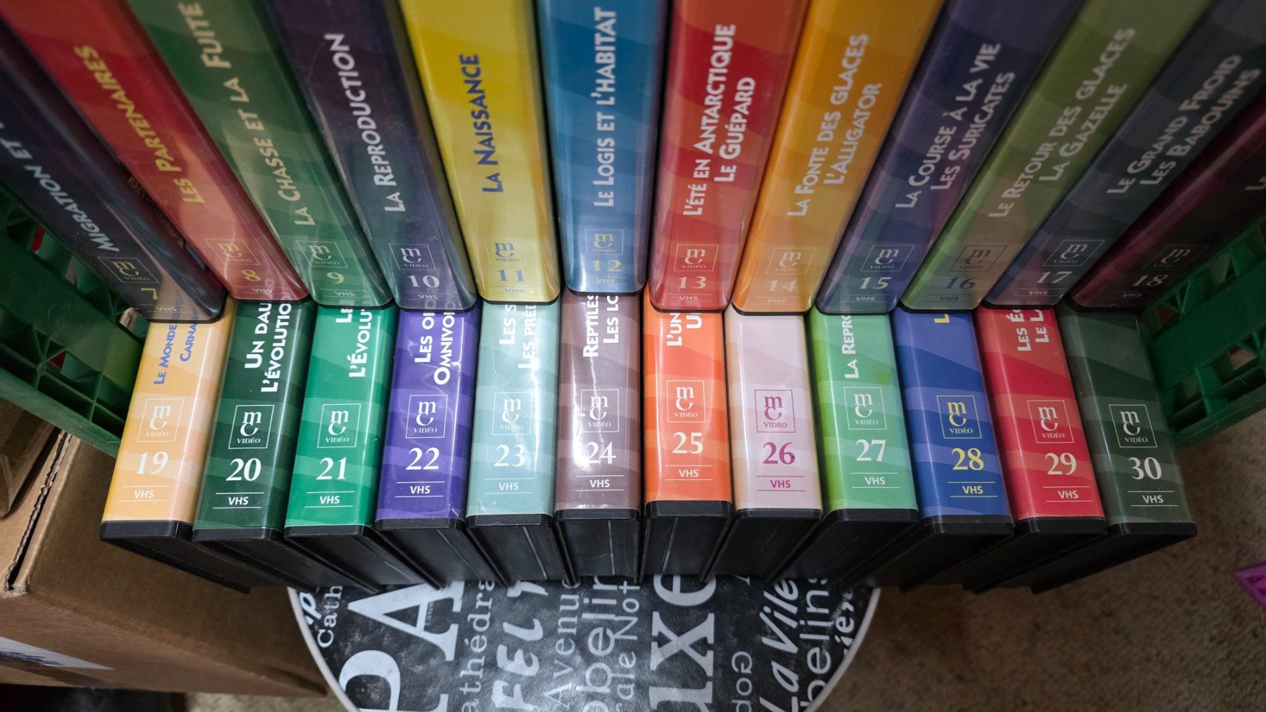 Toutes les VHS: Animal VHS , collection – D'occasion à Bionnens par Meg011 4