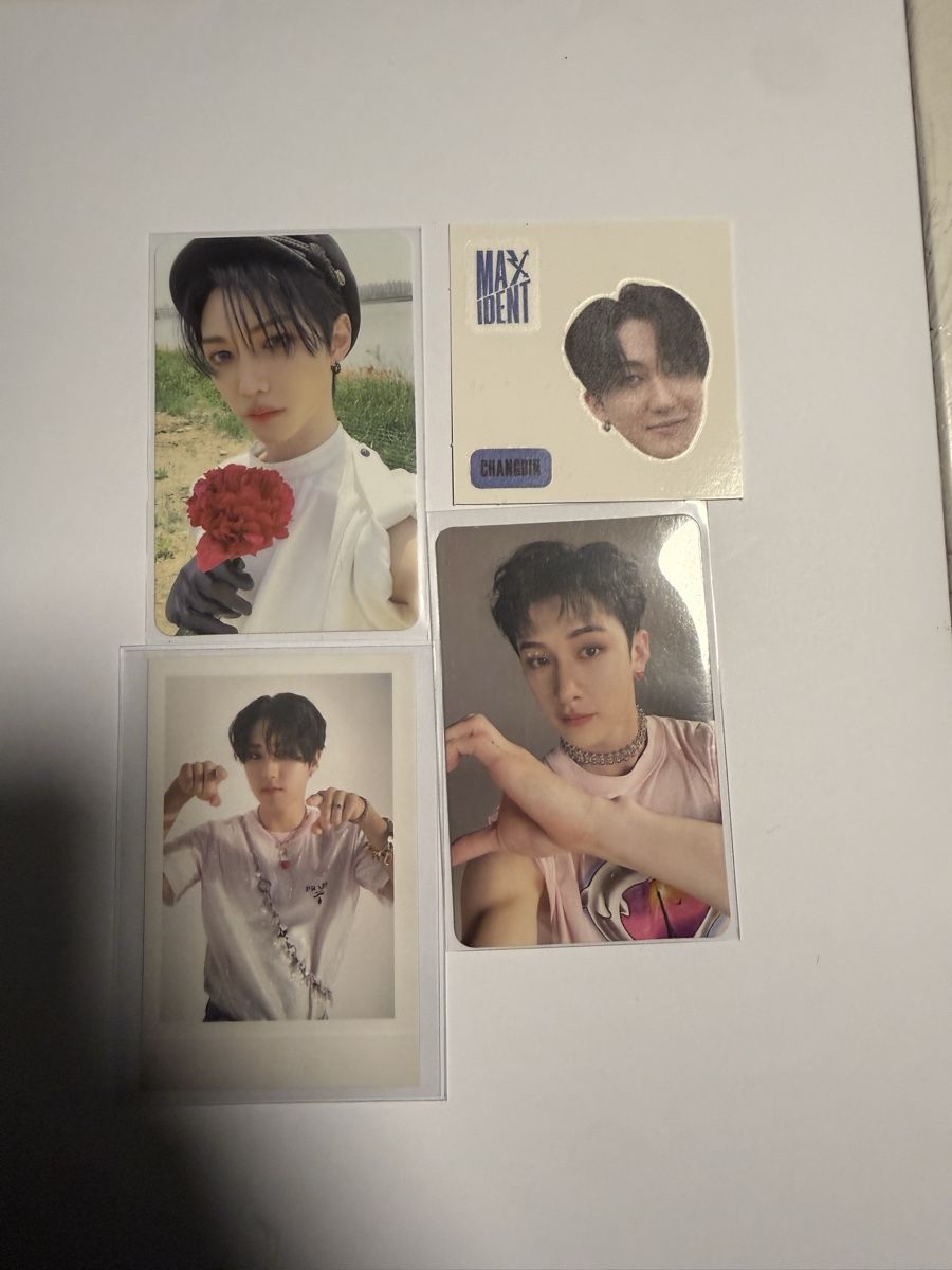 Libri: Maxident album stray kids – Nuovo (secondo la descrizione) da Schlatt TG venduto da Debbo88 3