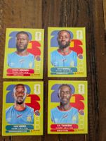 Panini Congo