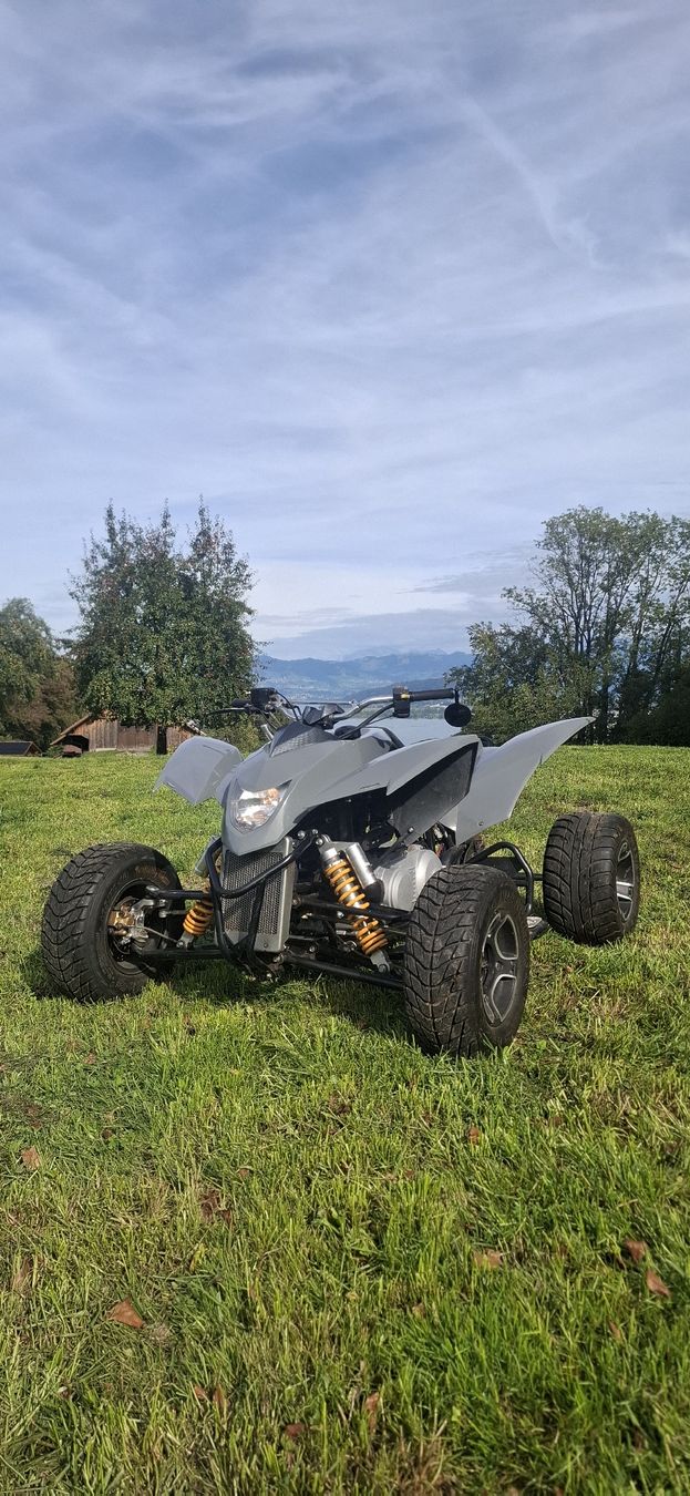 Smc (Sm) ATV / Quad: Quad SMC Trasher 320 SM – Usato da Pfäffikon SZ venduto da Msteiner1402