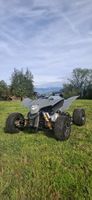 Quad SMC Trasher 320 SM