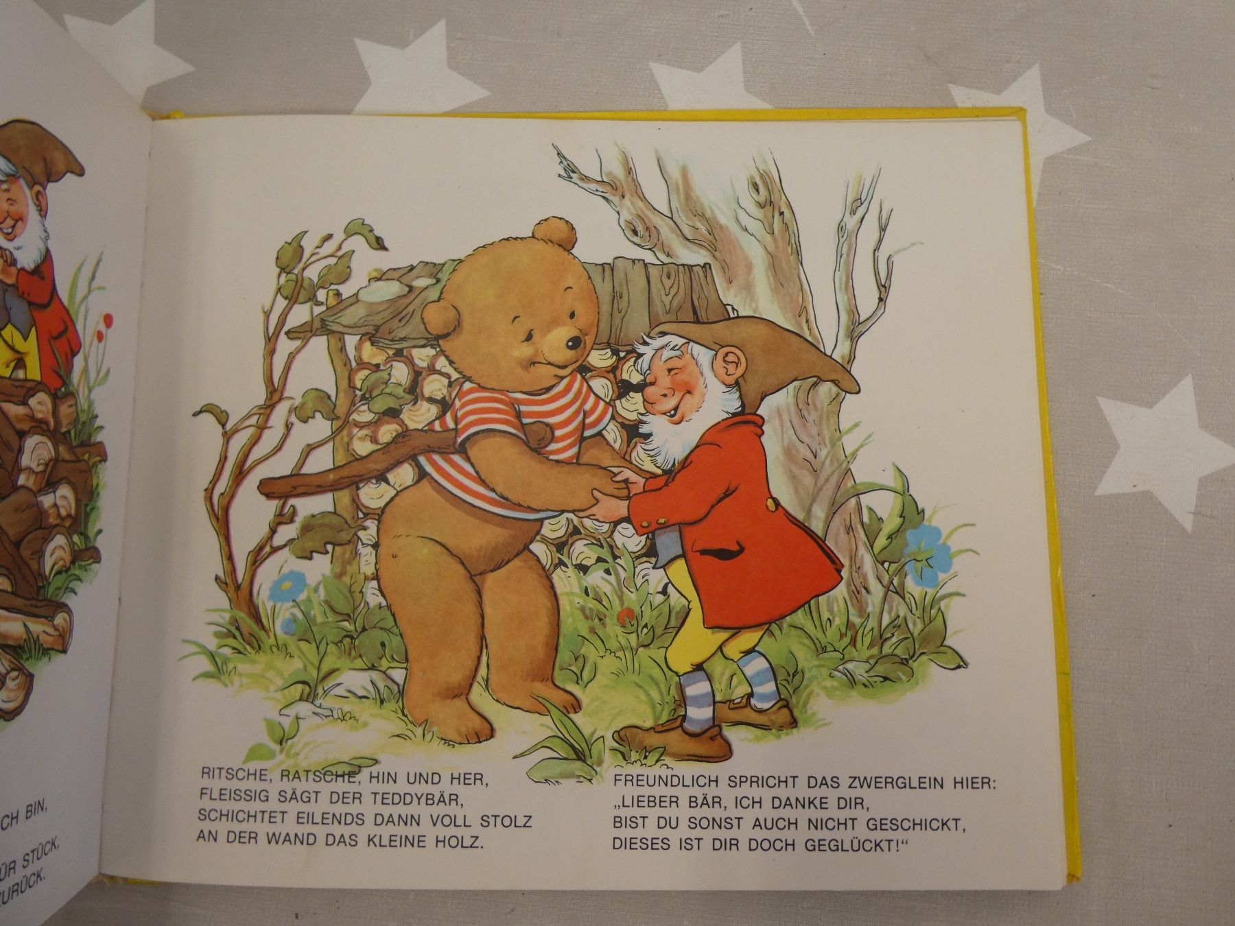 Libri: Buch: Teddys Abenteuer – Usato da Rafz venduto da Powacaddy 8