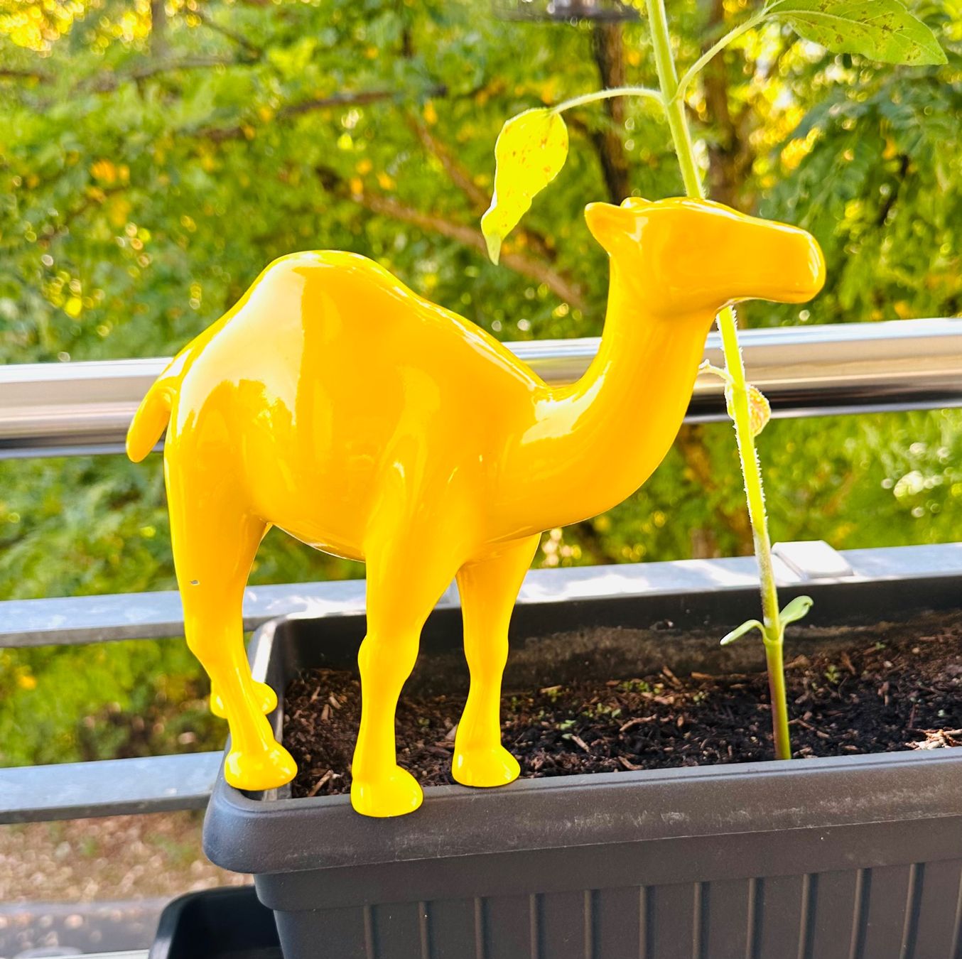 Toutes les décorations: CAMEL Kamel Werbefigur Zigaretten – D'occasion à Zürich par brazerola 1