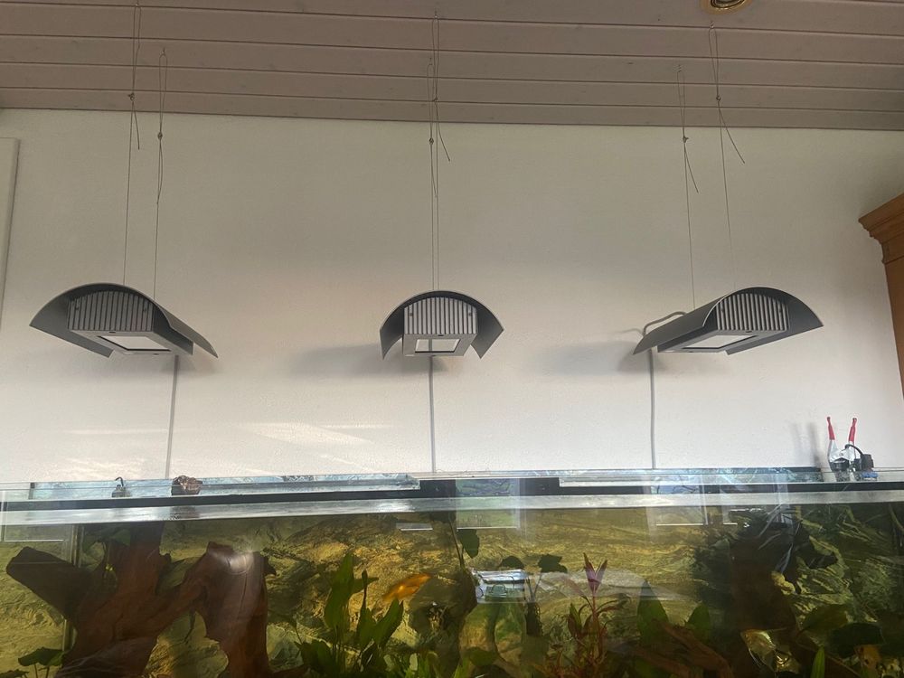 Beleuchtung Giesemann Aquaristic Infiniti 1.8 (Gebraucht) in Volketswil ...