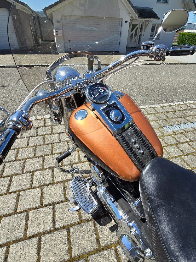 Harley-Davidson Chopper: FAT BOY FLSTF 1584 Anniversary edition – Gebraucht aus Wohlen AG von Bikergogo666 8