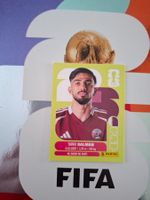 Panini WM Sticker QAT 8
