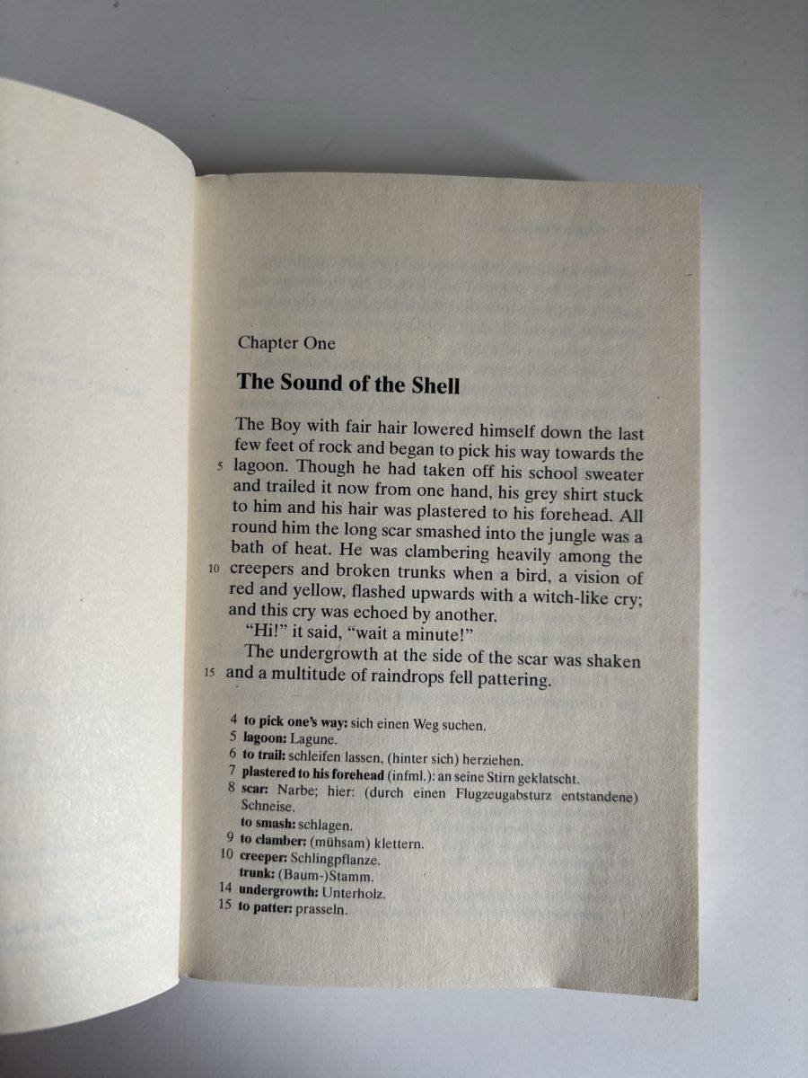 Libri: Lord of the Flies – Nuovo (secondo la descrizione) da Solothurn venduto da amelie.br 4