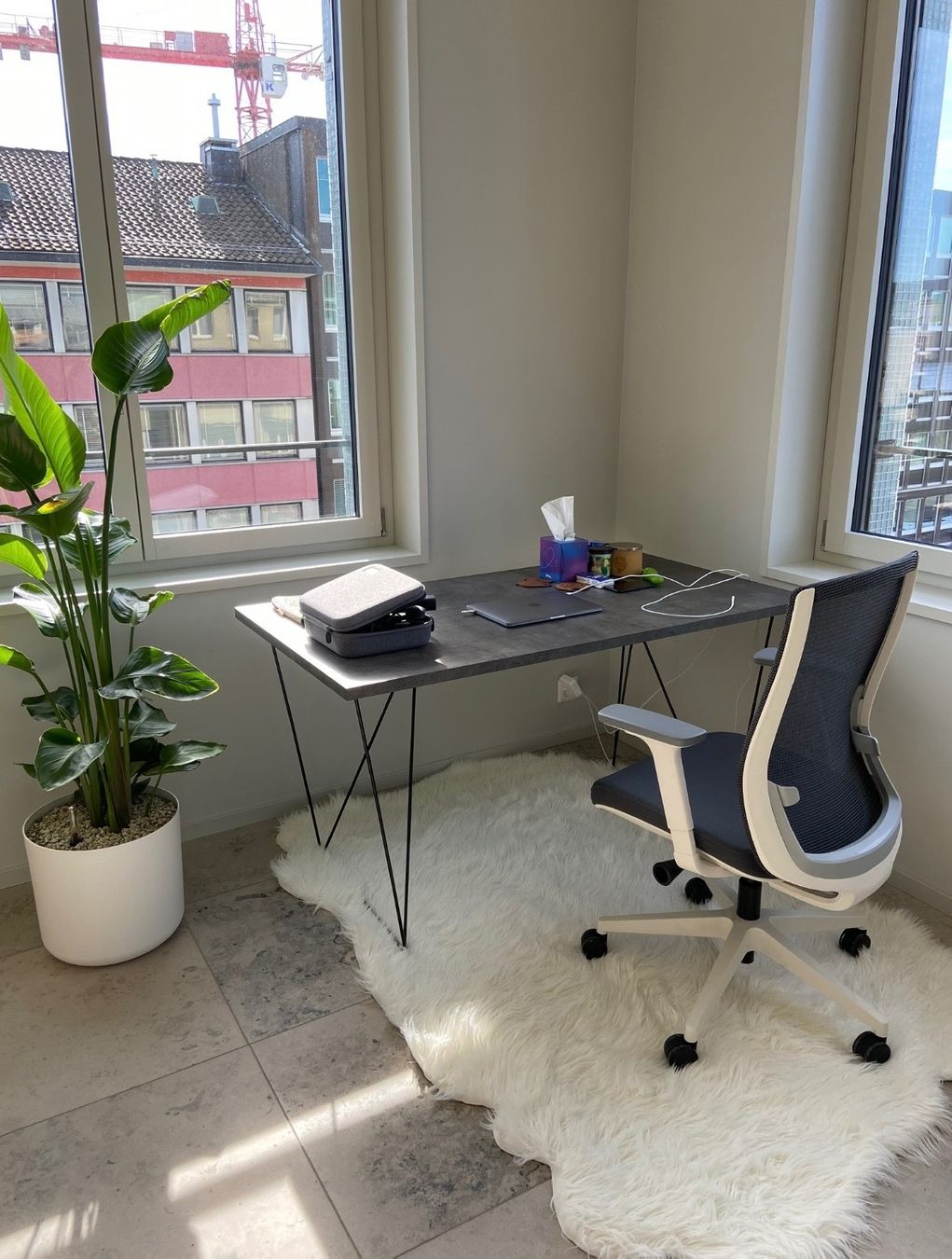 Bureaux: Schreibtisch – D'occasion à Zürich par strelitziakiwi 1