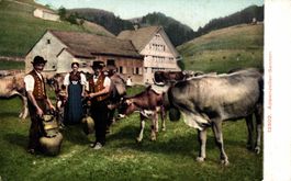 Appenzeller Sennen