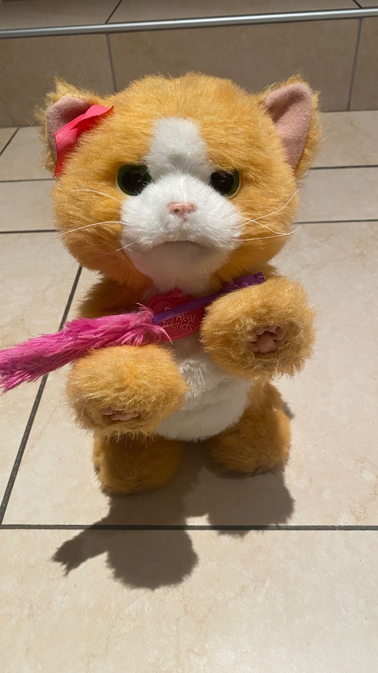 Hasbro Giocattoli: Jouet Chat Hasbro Friends – Usato da Aproz (Nendaz) venduto da ann_69m9