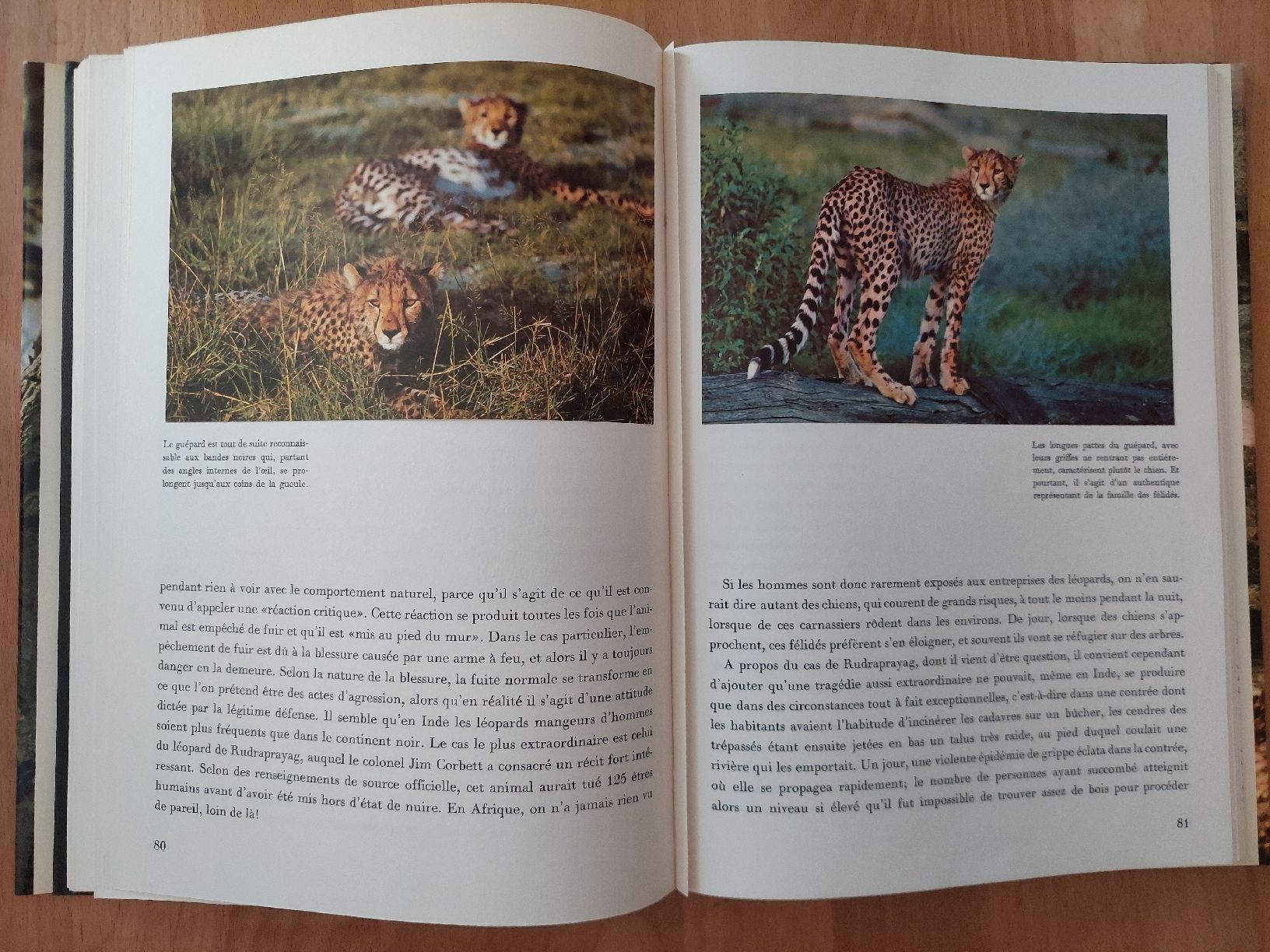 Libri: Zoo - Afrique orientale – Usato da Yverdon-les-Bains venduto da pri_x6j6 4