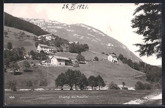Ansichtskarten: AK Champ-du-Moulin, Panorama – Gebraucht aus Berlin von bartko-reher