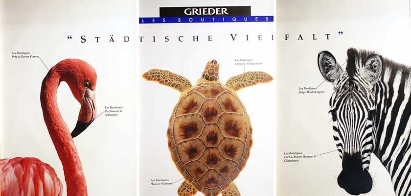 Foto & Immagini: Städtische Vielfalt / Espèces Urbaines – Nuovo (secondo la descrizione) da Bern venduto da Vintage-Art-Poster 2
