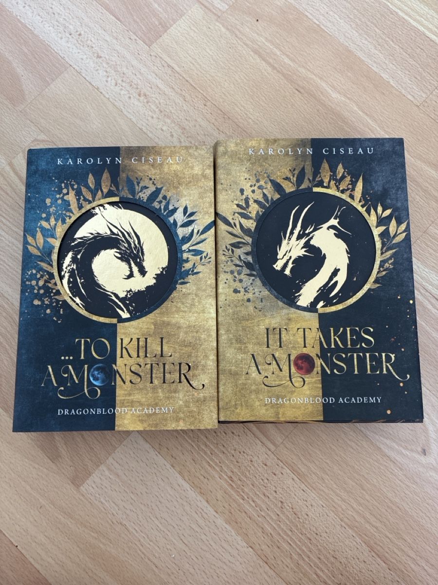 Livres: Drachen Fantasy Bücher  – Neuf (Voir description) à Mels par joe_lin572