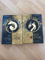 Drachen Fantasy Bücher 