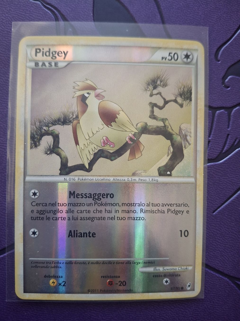 Pokémon Carte collezionabili: Pidgey Italian 67/95 – Usato da Münsingen venduto da ama_9cdk