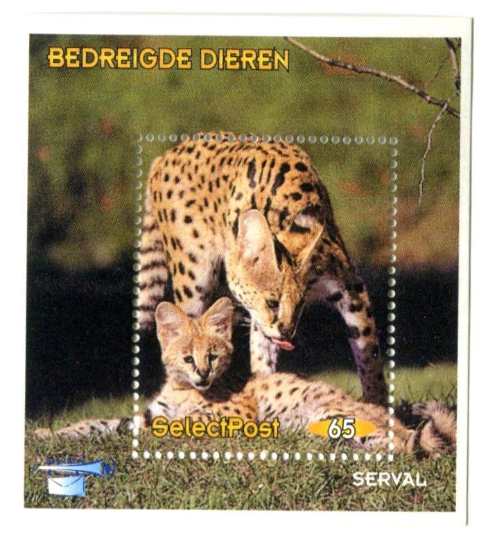 Tutti i francobolli: Block "Serval". Niederlande – Nuovo e nell'imballaggio originale da Basel venduto da Butsch5