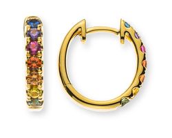 "Rainbow" Scharnier-Kreolen Gelbgold 750