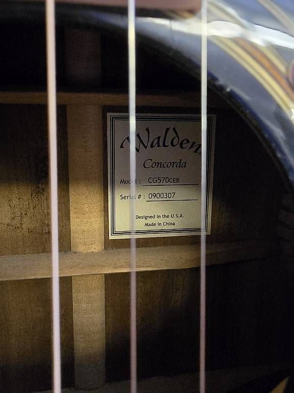 Strumenti musicali: WALDEN Westerngitarre CG 570 CEB – Usato da Russikon venduto da SchenkB 3