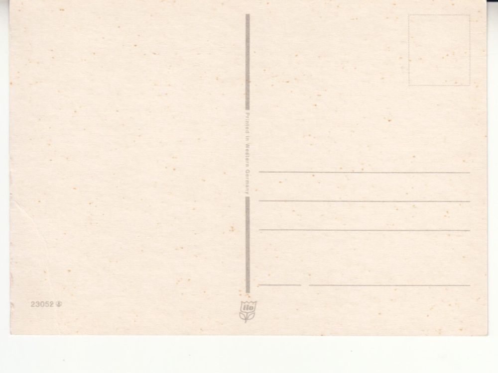 Cartoline postali: Floristik ca. 1970 5 Stk – Usato da Bürglen TG venduto da StampGraf 6