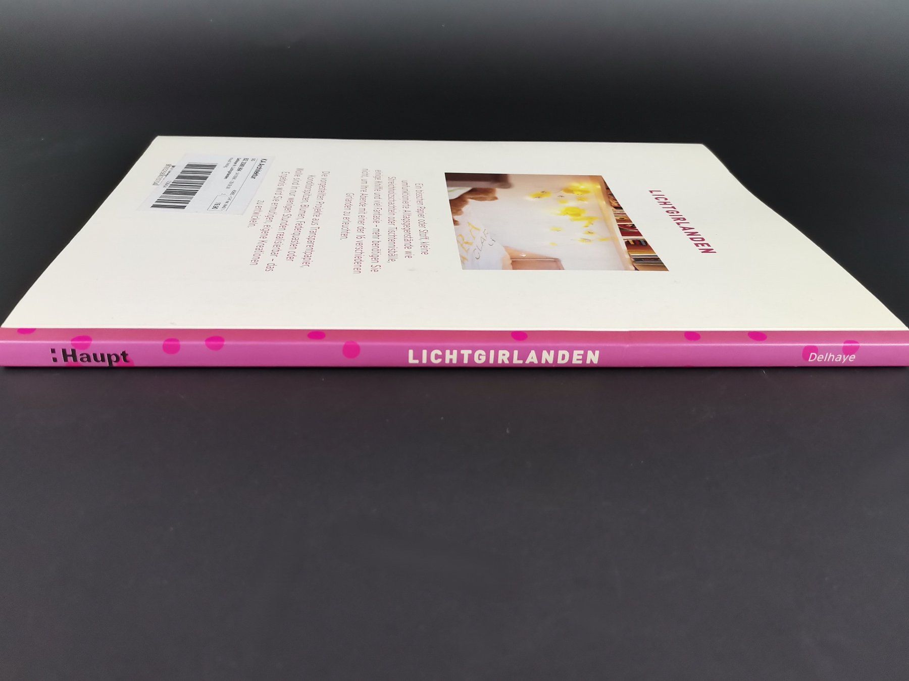 Libri: BUCH Lichtgirlanden – Usato da Schaffhausen venduto da Restwert_SH 3