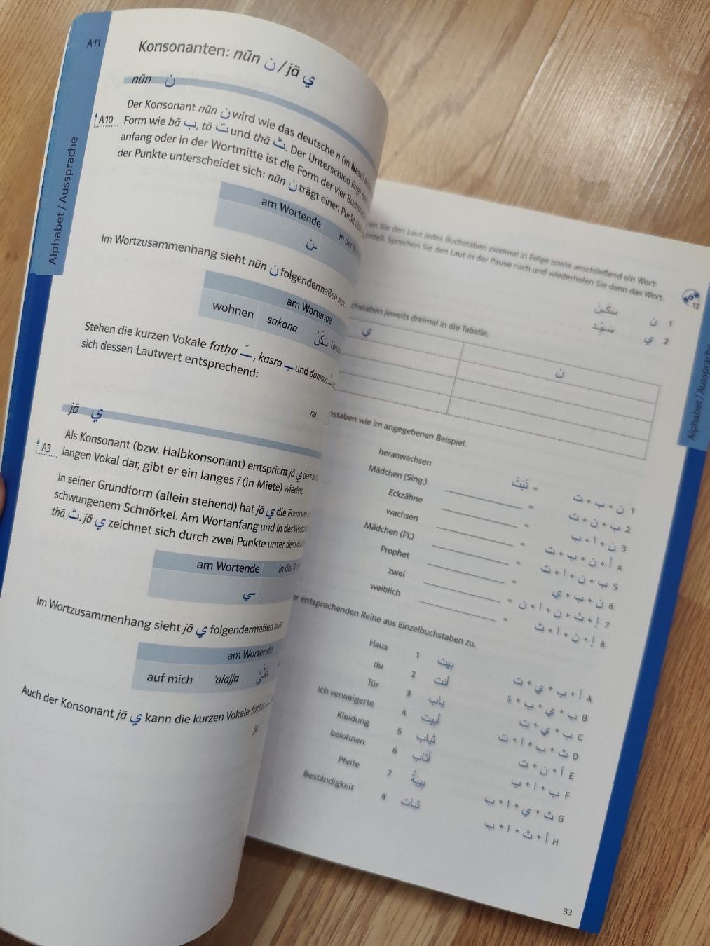 Libri: PONS Learn Arabic - Study Book & Audio CD – Usato da Mägenwil venduto da VintageGirly 3