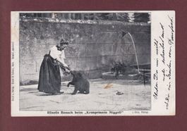 BERN - Bärengraben - 1906