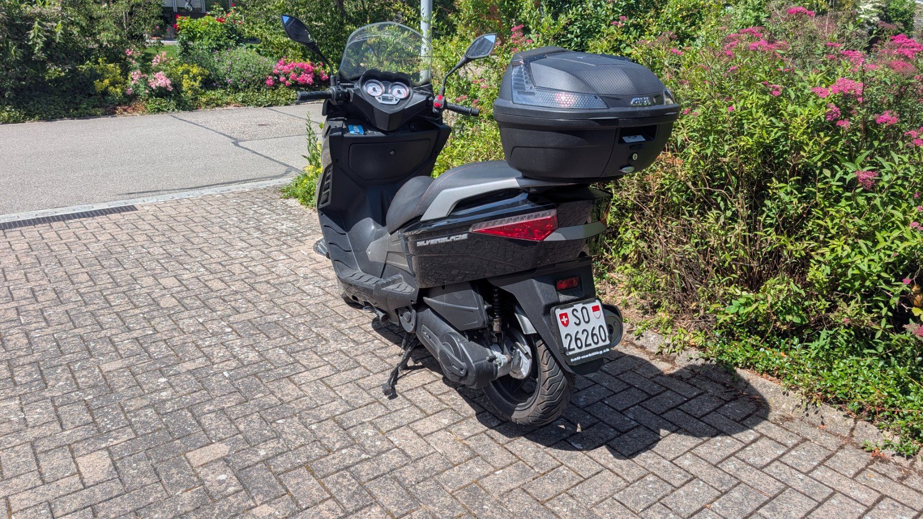 Tell Strada: Roller Tell Silverblade – Usato da Zuchwil venduto da UrsRicardo 1