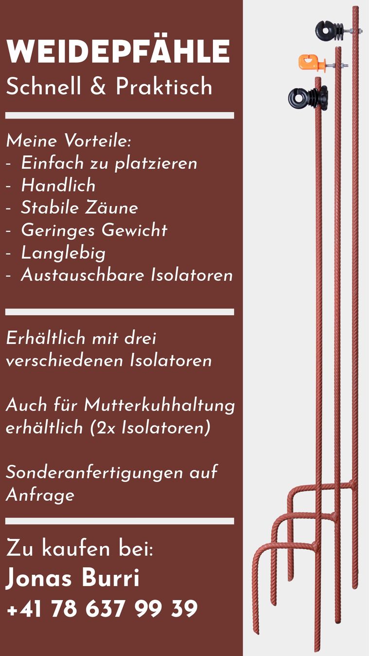 Sonstige Stalleinrichtungen: Weidepfähle – Neu (gemäss Beschreibung) aus Schachen von burri.jonas