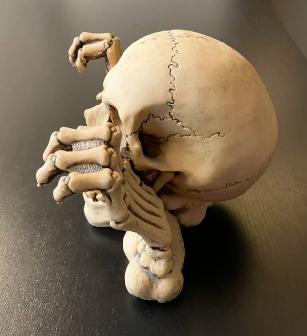Statuette: Deko Totenkopf mit Händen – Usato da Rain venduto da gab_q6jb 1