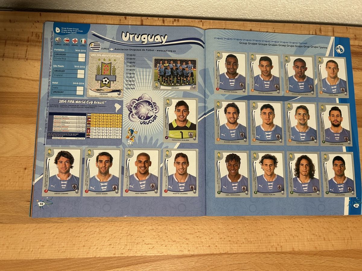 Panini Carte collezionabili: Panini 2014 Album – Usato da Schliern b. Köniz venduto da Trebesch 2